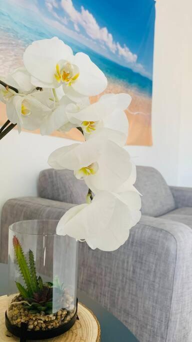Seven House Poetto Apartment